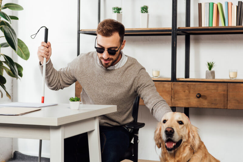 A young caucasian blind man sitting at a desk working with his golden retriever service dog sitting next to him.
